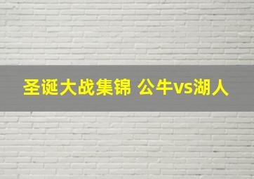 圣诞大战集锦 公牛vs湖人